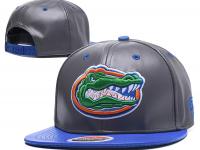 Florida Gators Snapback Hat