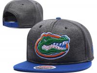 Florida Gators Snapback Hat