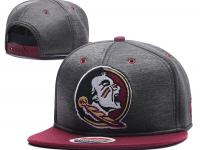 Florida State Seminoles Snapback Hat