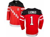 Men Nike Team Canada #1 Roberto Luongo Premier Red 100th Anniversary Olympic Hockey Jersey