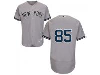 MLB New York Yankees #85 Luis Cessa Men Grey Authentic Flexbase Collection Jersey